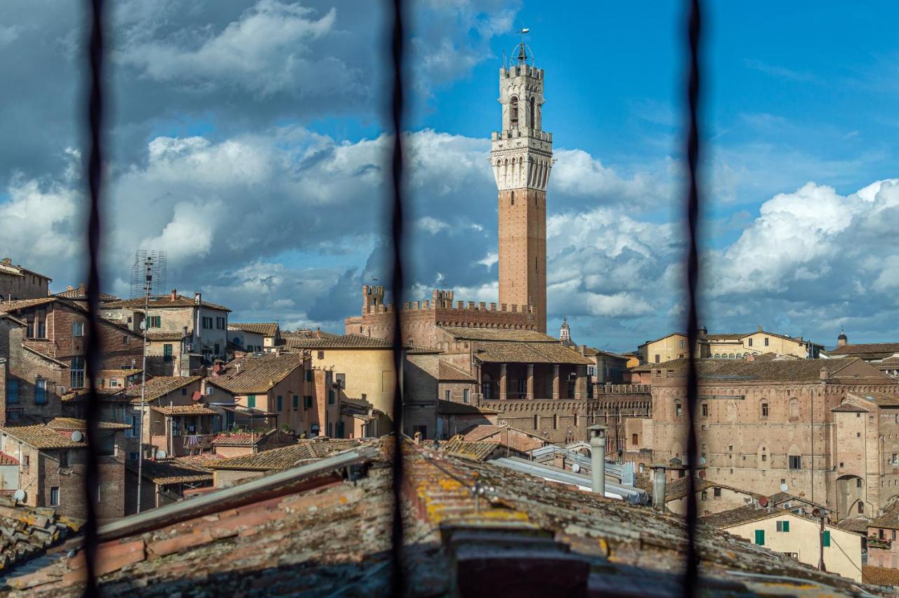 Pearl N°5 * Siena