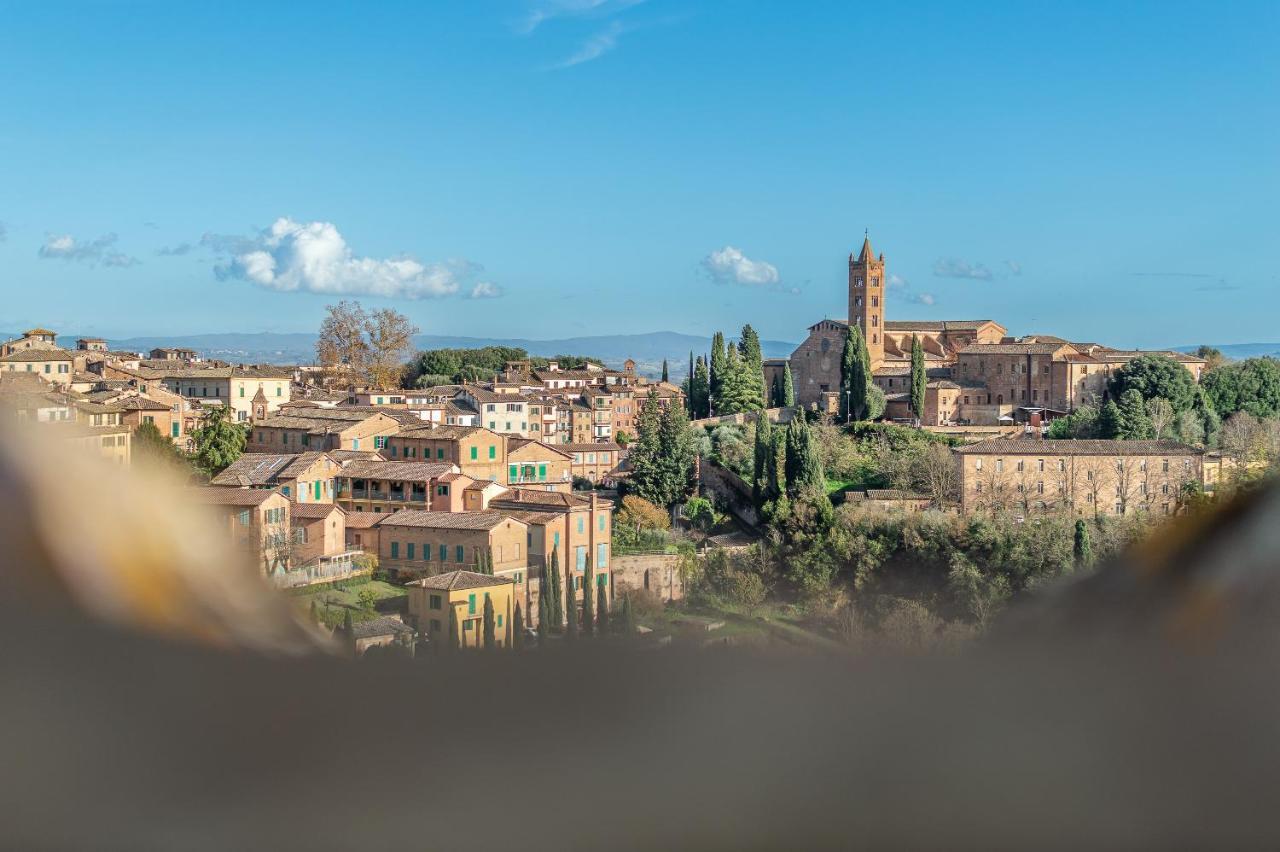 Pearl N°5 Siena